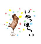 cocoa part2（個別スタンプ：4）