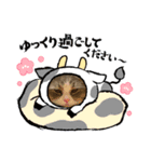 ミヌエットのミルくん お正月用（個別スタンプ：1）