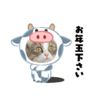 ミヌエットのミルくん お正月用（個別スタンプ：3）