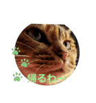 ずきちゃん（個別スタンプ：3）