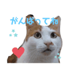 ずきちゃん（個別スタンプ：4）