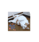 ずきちゃん（個別スタンプ：5）