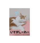 ずきちゃん（個別スタンプ：7）