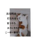 ずきちゃん（個別スタンプ：10）