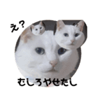 ずきちゃん（個別スタンプ：11）