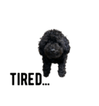 Hello I’m Theo 2（個別スタンプ：23）