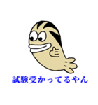 大学生が使えるゼブラフィッシュスタンプ（個別スタンプ：12）