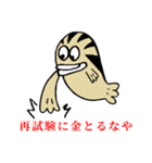 大学生が使えるゼブラフィッシュスタンプ（個別スタンプ：19）