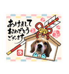 丑年☆年賀状2021（個別スタンプ：9）