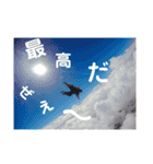 凌空えとせとら（個別スタンプ：15）