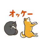 なかよし柴犬の日常会話スタンプ（個別スタンプ：3）