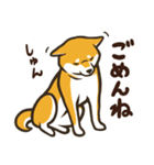 なかよし柴犬の日常会話スタンプ（個別スタンプ：10）