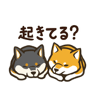 なかよし柴犬の日常会話スタンプ（個別スタンプ：13）