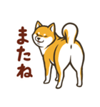 なかよし柴犬の日常会話スタンプ（個別スタンプ：16）