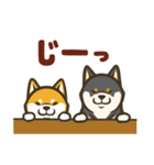 なかよし柴犬の日常会話スタンプ（個別スタンプ：18）