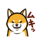 なかよし柴犬の日常会話スタンプ（個別スタンプ：21）