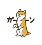 なかよし柴犬の日常会話スタンプ（個別スタンプ：26）