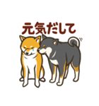 なかよし柴犬の日常会話スタンプ（個別スタンプ：32）