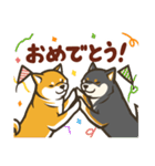 なかよし柴犬の日常会話スタンプ（個別スタンプ：40）