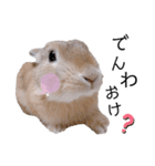 うさぎのむぎくん。2（個別スタンプ：15）