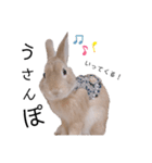 うさぎのむぎくん。2（個別スタンプ：19）