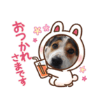 Love1062（個別スタンプ：1）