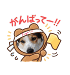 Love1062（個別スタンプ：2）