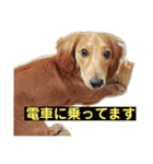 ルークのスタンプ第二弾（個別スタンプ：9）