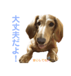 ルークのスタンプ第二弾（個別スタンプ：21）