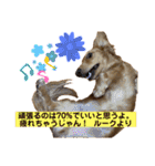 ルークのスタンプ第二弾（個別スタンプ：29）