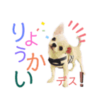 moi2（個別スタンプ：1）