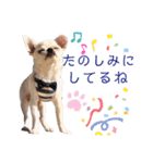 moi2（個別スタンプ：4）