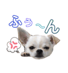 moi2（個別スタンプ：6）