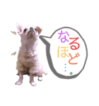 moi2（個別スタンプ：7）