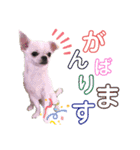 moi2（個別スタンプ：8）
