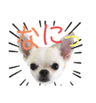 moi2（個別スタンプ：9）