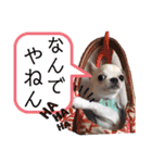 moi2（個別スタンプ：17）
