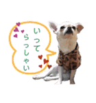 moi2（個別スタンプ：18）