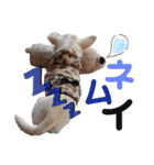 moi2（個別スタンプ：29）