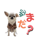 moi2（個別スタンプ：35）