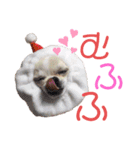 moi2（個別スタンプ：38）