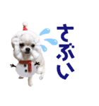 moi2（個別スタンプ：40）