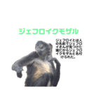 猿大図鑑！（個別スタンプ：4）