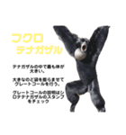 猿大図鑑！（個別スタンプ：10）