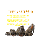 猿大図鑑！（個別スタンプ：17）