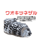 猿大図鑑！（個別スタンプ：33）