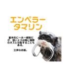 猿大図鑑！（個別スタンプ：39）