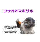 猿大図鑑！（個別スタンプ：40）