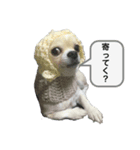 JIRO san-#1（個別スタンプ：1）