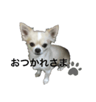 JIRO san-#1（個別スタンプ：4）